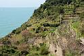 Corniglia (11)